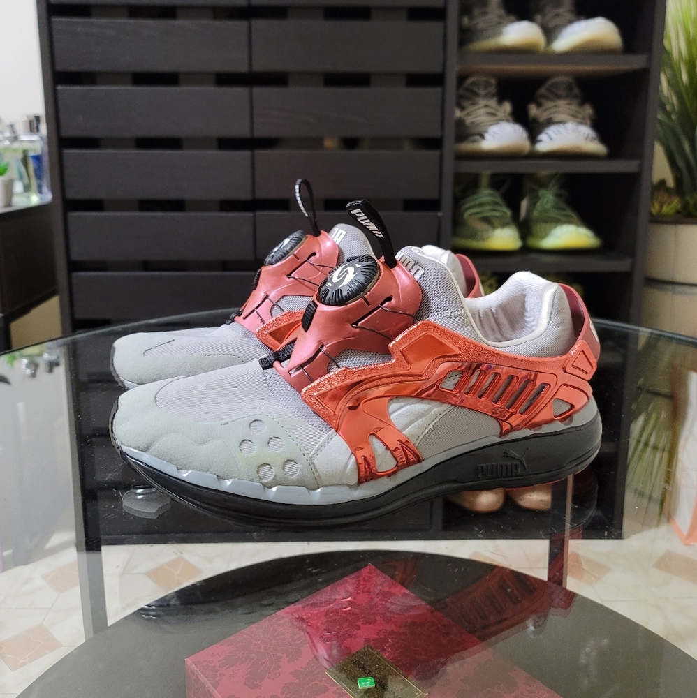 Puma Disc